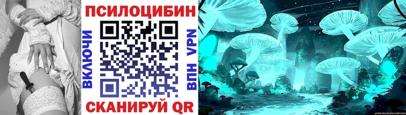 Псилоцибиновые грибы Cubensis  где найти наркотики  Весьегонск 